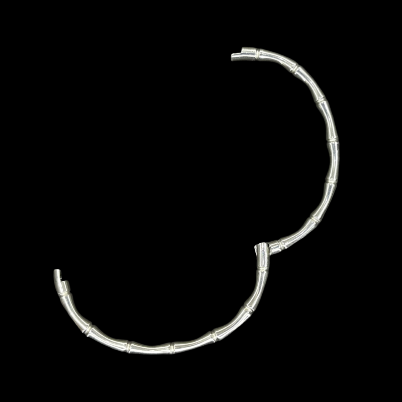 Spine - Image 2