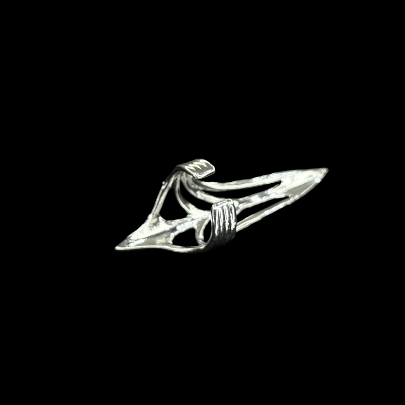 Carrion - Image 5